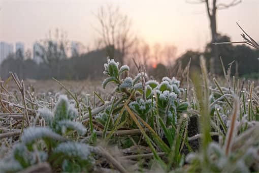 2022年倒春寒持续多久