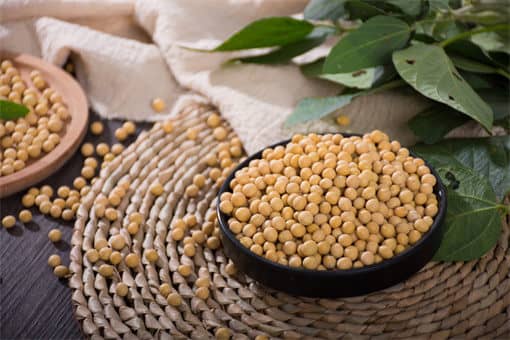 2022�����ֲ����ʲôʱ�򷢷�