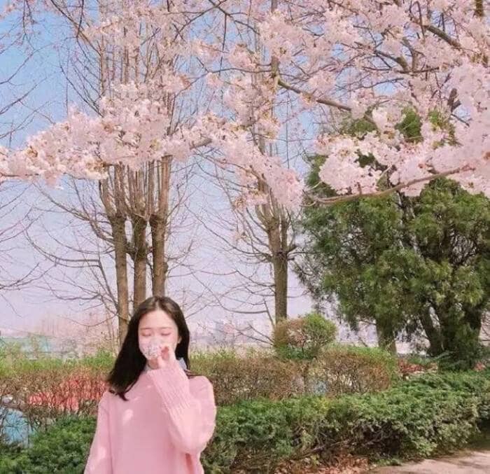 520һ黰̾