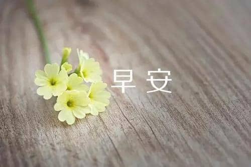 ʺϷŮѵ黰