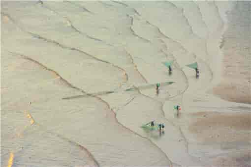 �����ڽ���ʱ��