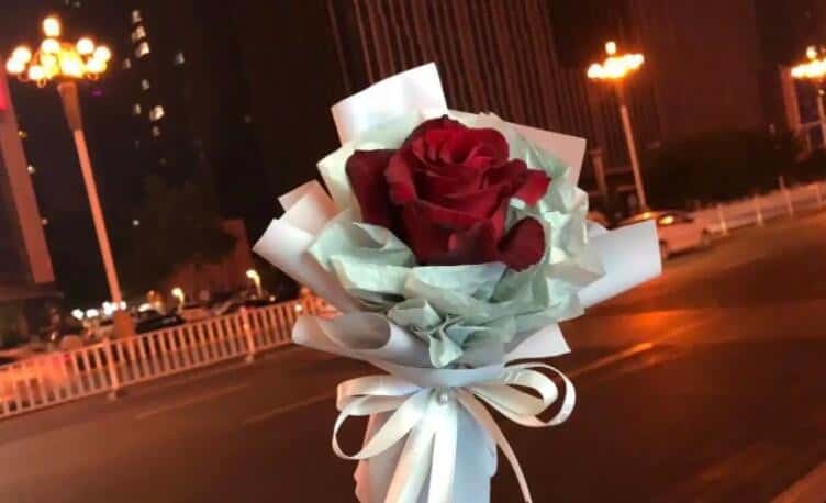 25朵玫瑰<a href='https://www.yangji120.com/life/list-90/' target='_blank'><u>花语</u></a>是什么