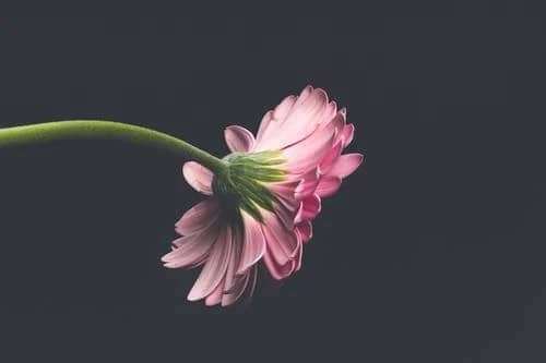 ϲ˱ôܾ