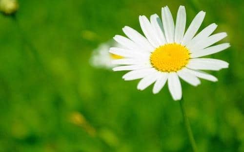 女生说肚子疼应该怎么回复