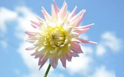 女生说肚子疼应该怎么回复