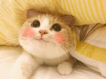 Ů˯ǰСů