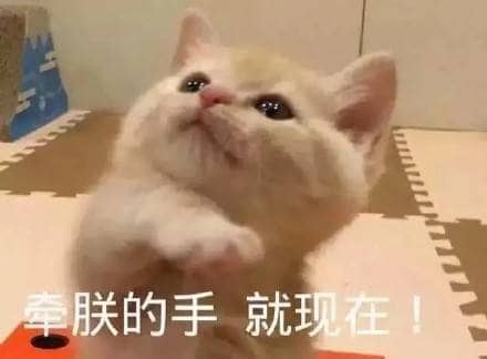 Ů˯ǰСů