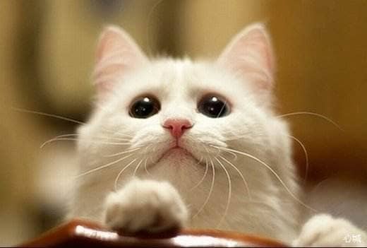 ˵˯ǰ