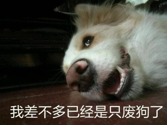˵˯ǰ
