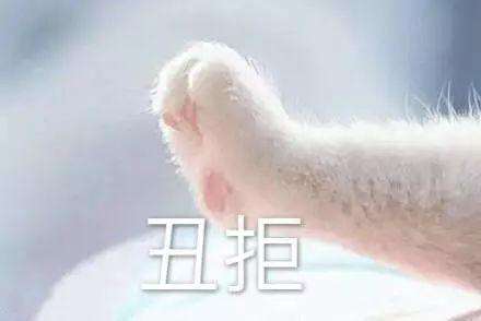 ˵˯ǰ