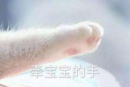 ̵Ļ5