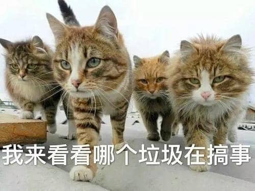սƱһ仰