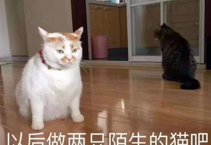 սƱһ仰