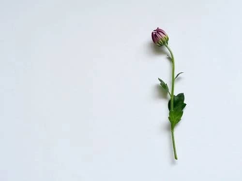 ˵Ļ