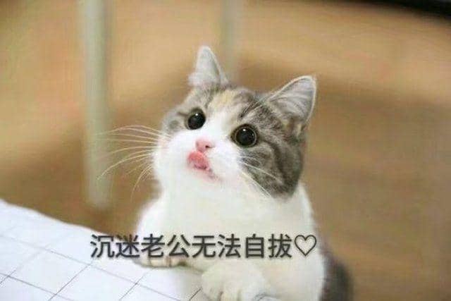 кӵĲʺƨ¼