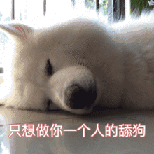 ˱˳