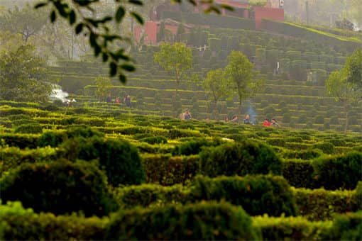 ����ɨĹһ��Ӽ��ſ�ʼ�����Ž���