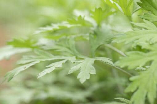 清明调休补哪一天上班