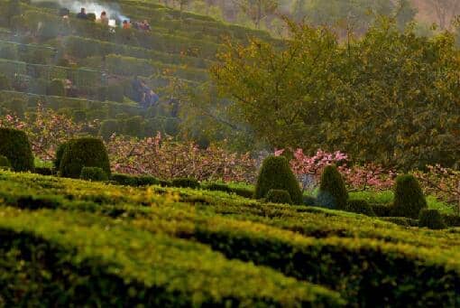 ���������ڿ���ȥĹ��ɨĹ��