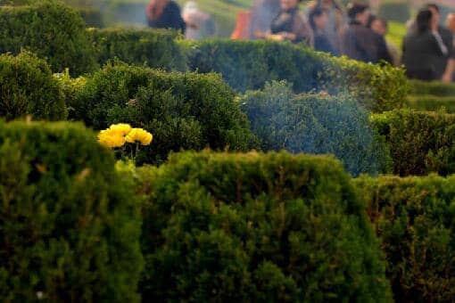 2022�������м�ɨ����Ҫ��