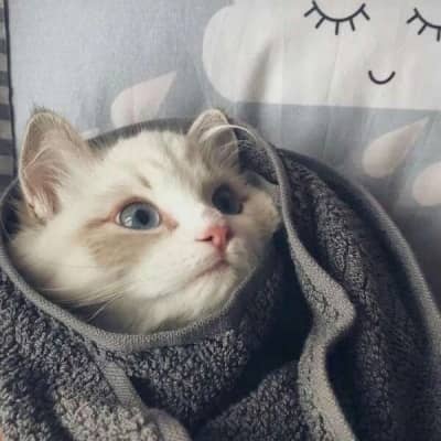 ���귢������Ȧ����