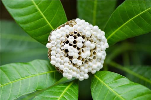 �������˲�����������