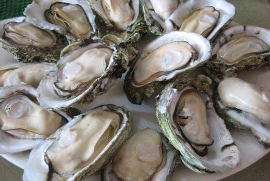 牡蛎怎么做好吃 牡蛎的最佳吃法