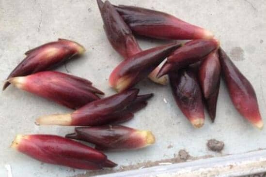 �������Ĺ�Ч������ ��������ô��ֲ����