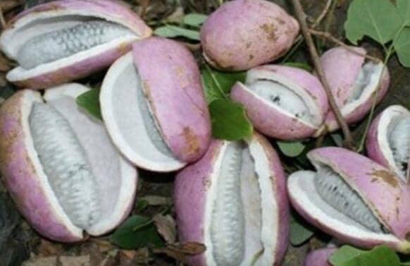 ����ը���Ĺ�Ч������