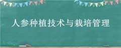 ˲ֲ