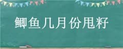 㼸·˦