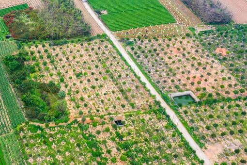 2022农村承包土地具体补贴多少钱一亩