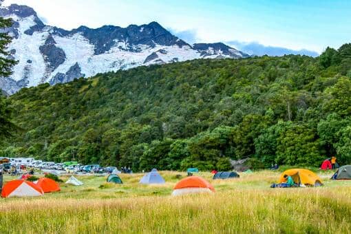 ������¶Ӫ��ë���ʸߴ�70%