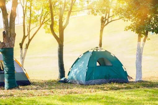 ��¶Ӫ����׬Ǯ��