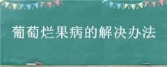 ùĽ취