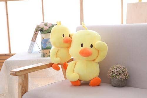 �յ�����ܸж��ľ��� ��л����������Ļ���