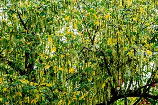 ����ʲôʱ�����