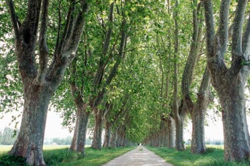 ����Ϊʲô���ϲ�Ʈ