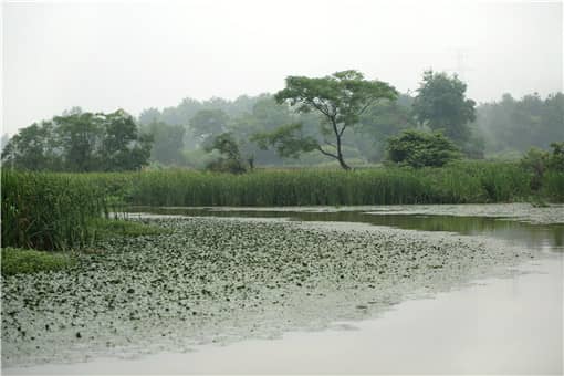 ÷�꼾��ʱ��