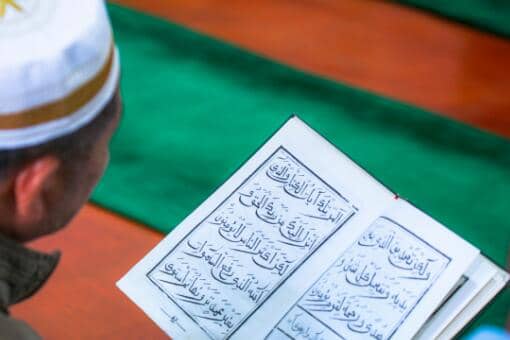 �Ŷ����2022��������