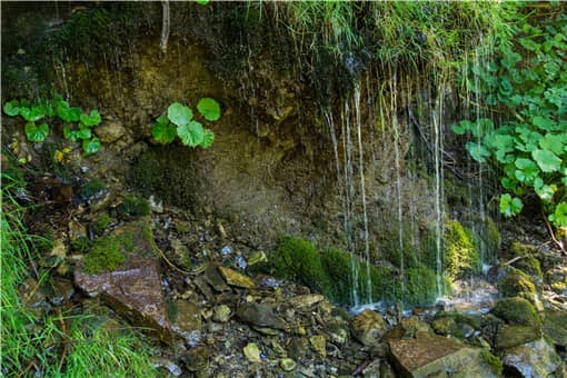 ǧ������