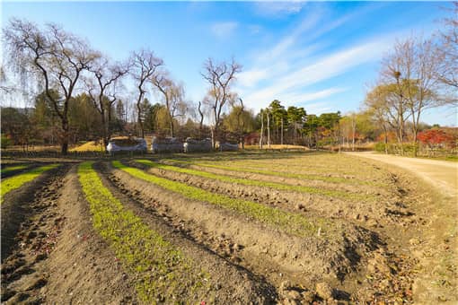 一亩地也不撂荒