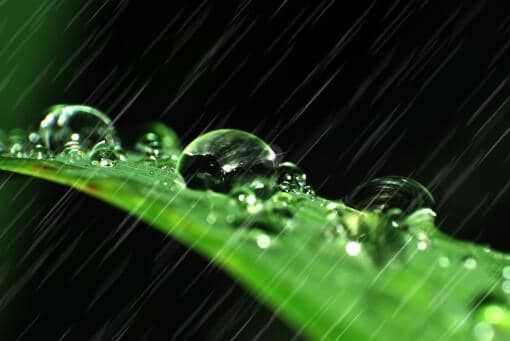 今年的天气为什么这么反常