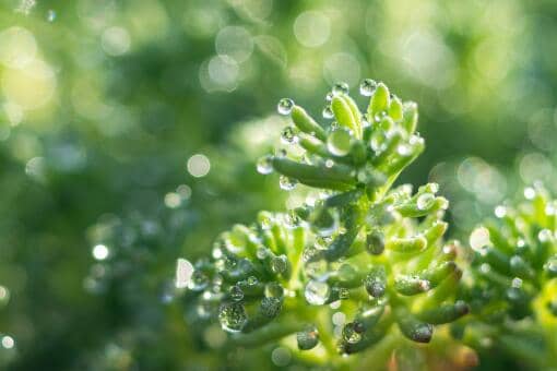 今年天气反常是什么现象