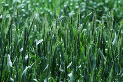 ����С�����Ǯһ��