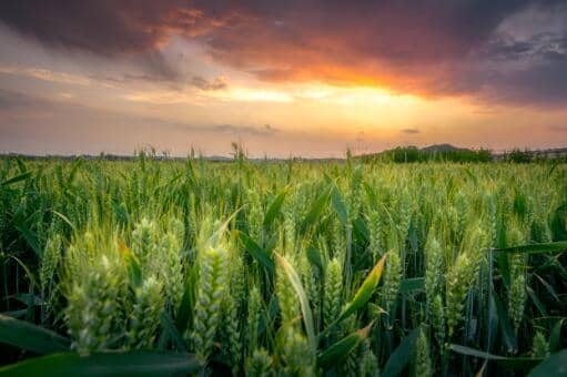 С��۸���������