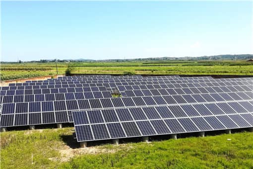 河北两村庄因建光伏电站毁百亩麦地