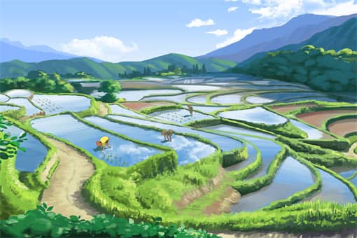 2022年小满时间是几月几号