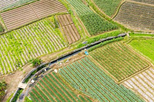 2022年中央省市县乡换届顺序