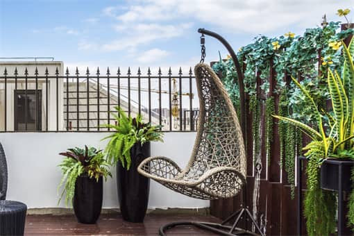 七叶莲放哪里最旺财?七叶莲风水摆放禁忌有哪些? 七叶莲放哪里最旺财?七叶莲风水摆放禁忌有哪些?